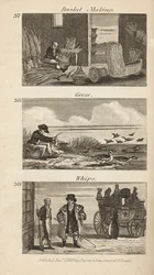 O comércio na Regency England: cestaria, depenação de gansos e chicotes