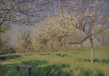 Macieiras florescendo, c. 1895