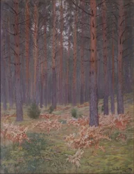 Samambaias, 1894