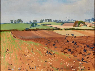 Campo Arado (óleo sobre tela)