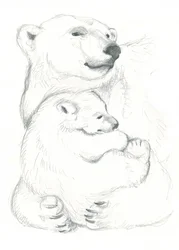 Desenho de urso-polar e cria