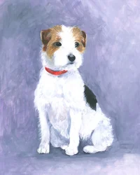 Postura do terrier