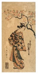 Arashi Tamagashiwa