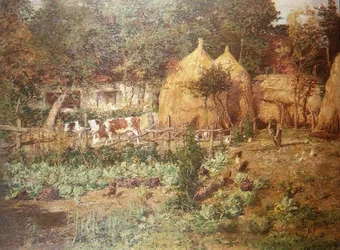 Os Palheiros