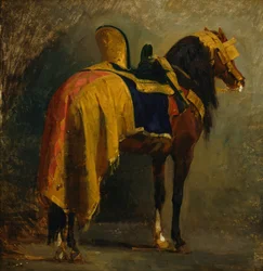 Cavalo com caparisonha
