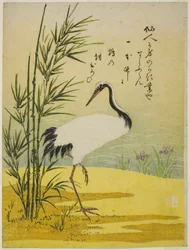 Guindaste, Bambu e Íris