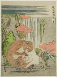 Macaco (Saru), da série "Fashionable Doze Signos do Zodíaco (Furyu juni shi)"