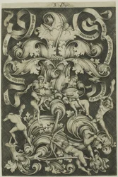 Ornamento com flor e oito folclore selvagem