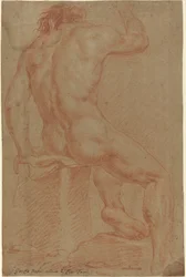Figura masculina nua [reto]