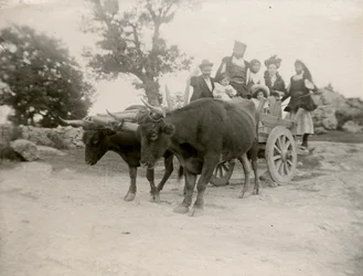 Família num carro puxado por bois, Sardenha, Itália, ca. 1910
