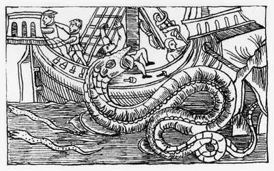 Uma serpente do mar, de &39;Descrição do Norte "por Olaus Magnus (1490-1557) publicada em Roma, 1555