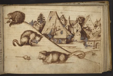Acrescentar. 82955, f.182 Gatos apanhando ratos ("felis"), de Historia Animalium, (que consiste em 245 desenhos a caneta e tinta de diferentes espécies de animais e criaturas míticas, cada um acompanhado de uma descrição) 1595