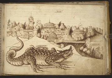 Acrescentar. 82955, f.243 Um crocodilo ("crocodilius"), de Historia Animalium, (que consiste em 245 desenhos de canetas e teias de tinta de diferentes espécies de animais e criaturas míticas, cada um acompanhado de uma descrição) 1595