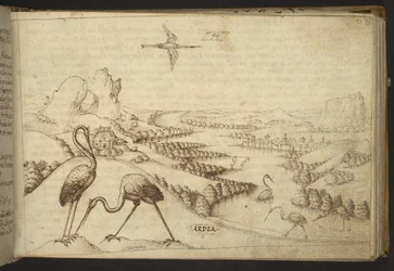 Adicionar. 82955, f.93 Garças (