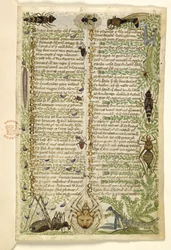 Adicionar MS 28841 f.006r Folhas de um tratado em prosa sobre os Sete Vícios e um verso sobre eventos da história da Sicília no tempo de Frederico II, de Cocharelli, c.1330-40