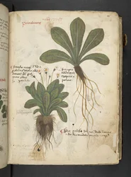 Adicionar MS 41623 