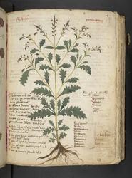 Adicionar MS 41623 