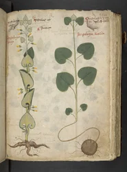 Adicionar MS 41623 