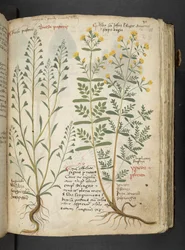Adicionar MS 41623 