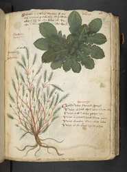 Adicionar MS 41623 