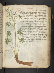 Adicionar MS 41623 