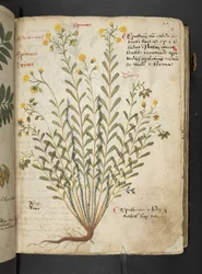 Adicionar MS 41623 