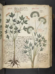 Adicionar MS 41623 