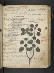 Adicione MS 41623 