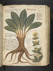 Adicionar MS 41623 