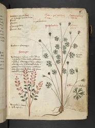 Adicionar MS 41623 
