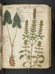 Adicionar MS 41623 