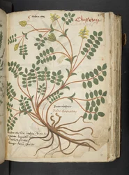 Adicionar MS 41623 