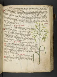 Adicionar MS 41623 