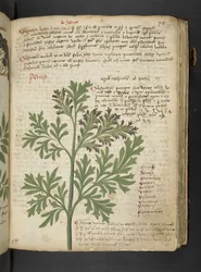 Adicione MS 41623 