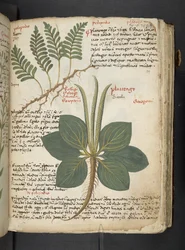 Adicionar MS 41623 
