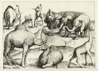 Pinturas de animais da Roma Antiga, Tabela, 3., pub. Antonio Lafrere 1528