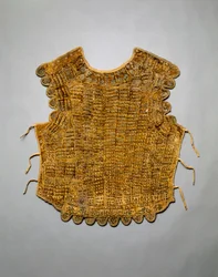 Guarda corpo