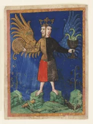 Hermafrodita coroado (velino)