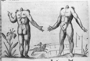 Diferentes tipos de monstros humanos: um homem sem cabeça. Gravura de "De monstrorum natura, causis et differentiis" de Fortunio Liceti (1577-1656), cientista italiano. 1646