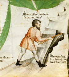 Extraindo Alúmen, c.1440 (lito colorido)