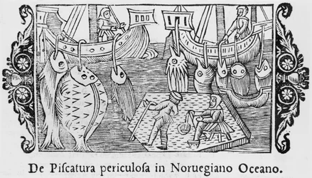 Pesca no Oceano norueguês, de uma História dos Povos do Norte por Olaus Magnus (1490-1558), publicado em Roma, 1555