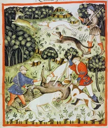 Fol.71v Caça Gazelle, ilustração de Tacuinum Santiatis Codex Vindobonensis