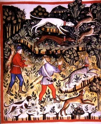 Fol.72r Lebre de caça, ilustração de 