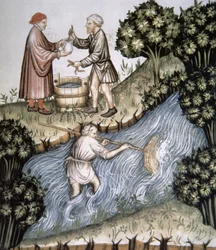 Fol.84r Pesca, ilustração de Tacuinum Santiatis Codex Vindobonensis