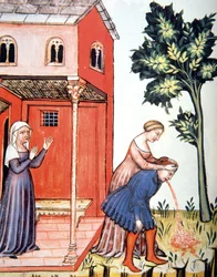 Fol.99v Throwing Up, ilustração de Tacuinum Santiatis Codex Vindobonensis
