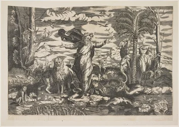 Deus Criando os Animais, c.1550
