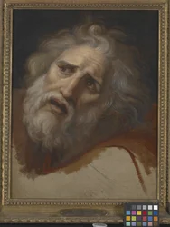 Cabeça de Laocoon (óleo sobre tela)
