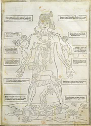 Ilustração de 