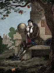 Isaac Newton observa uma maçã cair ao chão enquanto está sentado sob uma árvore