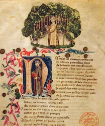 Ms It.474 Cena de abertura da &39;Divina Comédia&39; de Dante com a figura de Dante no bosque escuro (pergaminho)